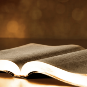 Commending Ourselves in the Gospel